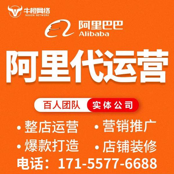 自贡电商代运营