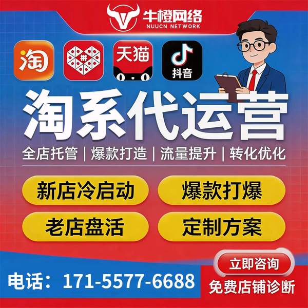 自贡电商代运营