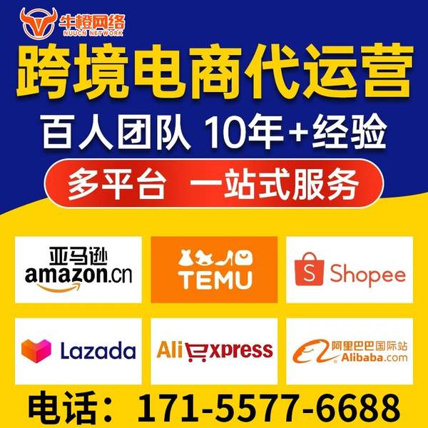 自贡电商代运营
