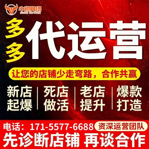 自贡电商代运营