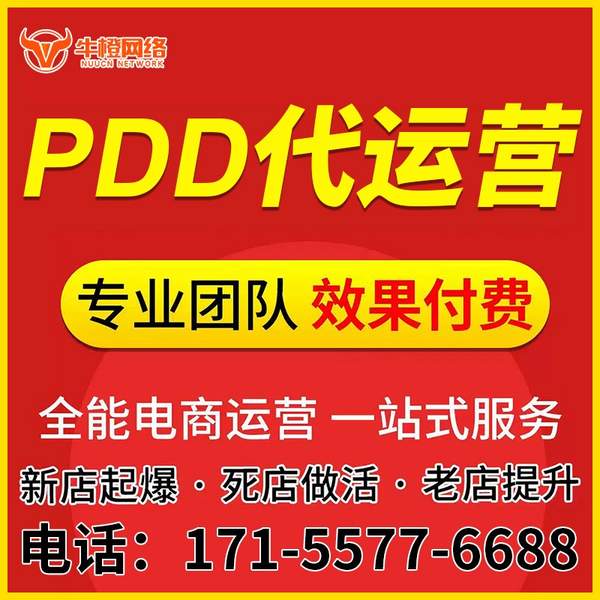 自贡电商代运营