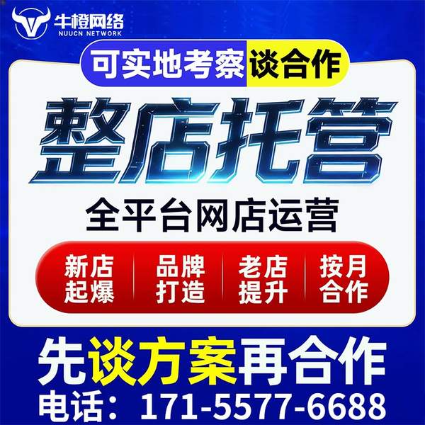 自贡电商代运营