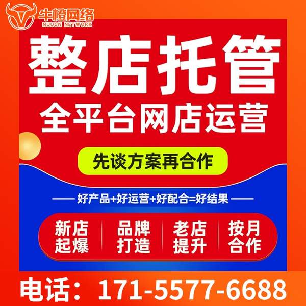 自贡电商代运营