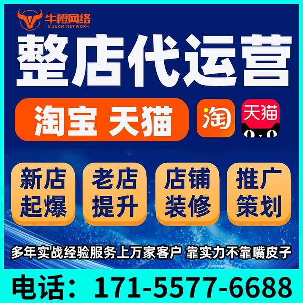 自贡电商代运营