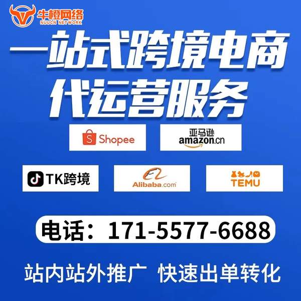 自贡电商代运营