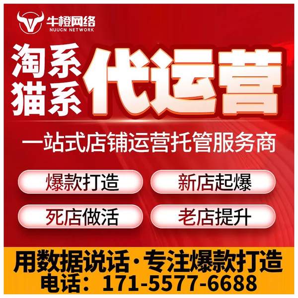 自贡电商代运营